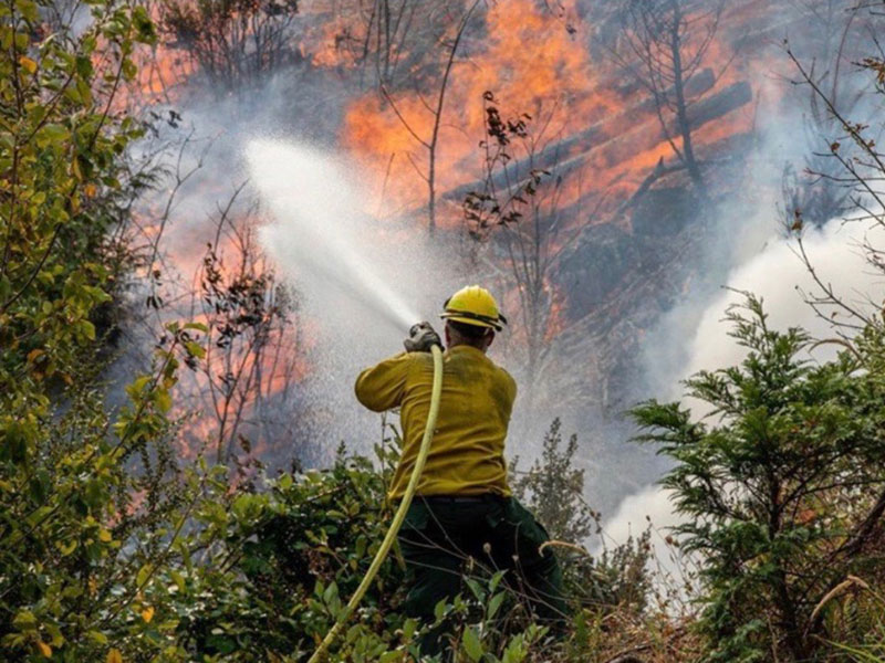 Fire Science students get real-world experience with local agencies