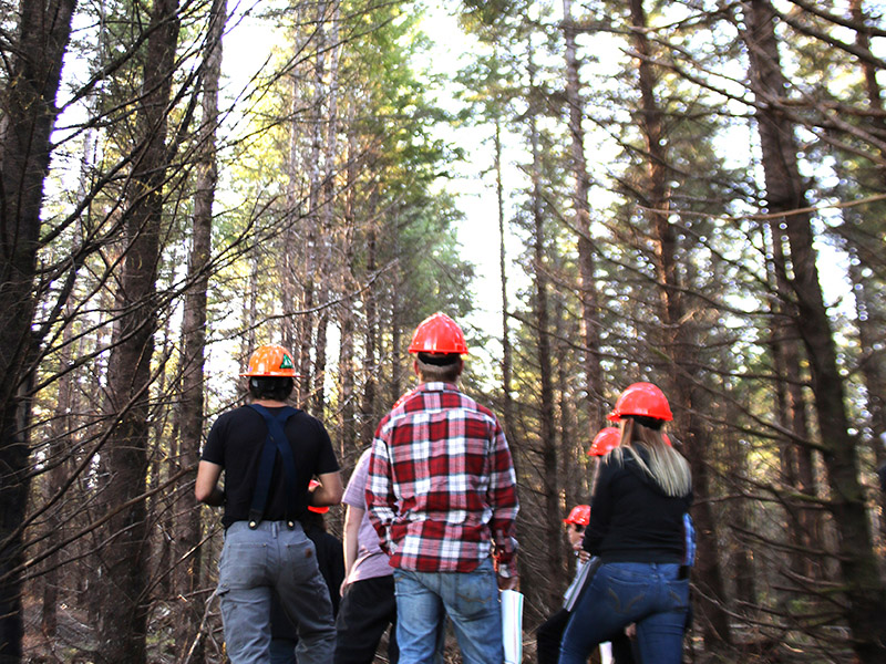 future of forestry at Southwestern Oregon Community College