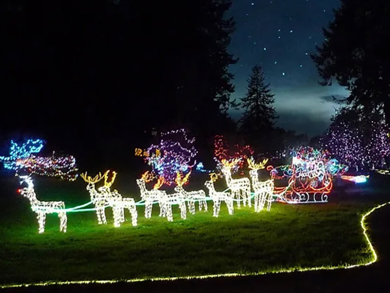coastal holiday lights near Southwestern Oregon Community College