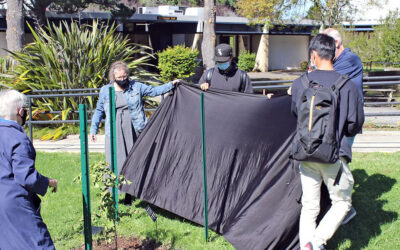 Southwestern Celebrates Peace Tree Planting