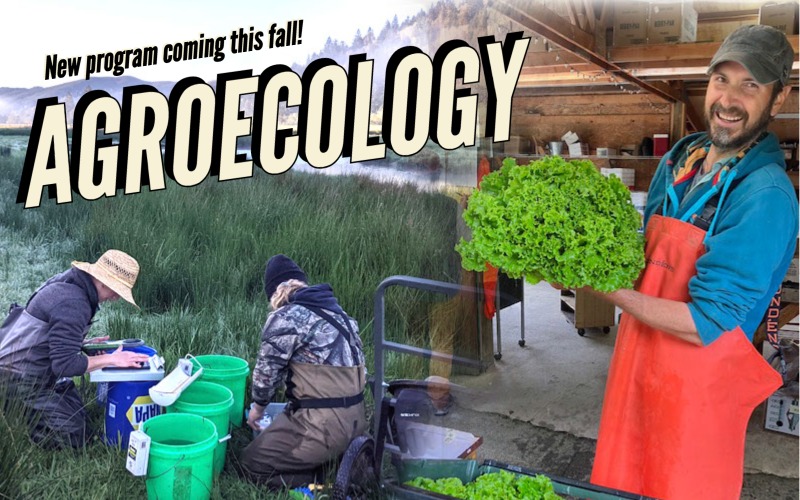 combined photo of people working in a field and a man holding a head of lettuce