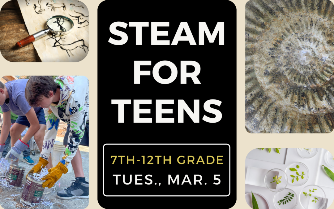 Southwestern hosts STEAM for TEENS event