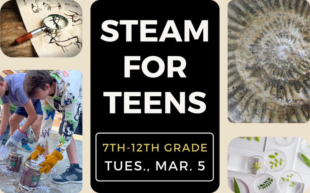 Southwestern hosts STEAM for TEENS event – March 5, 2024