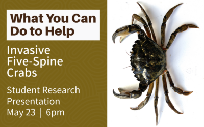 Southwestern hosts student research presentation: “Invasive Five-Spine Crabs: What You Can Do to Help” – May 23, 2024