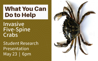 Southwestern hosts student research presentation: “Invasive Five-Spine Crabs: What You Can Do to Help” – May 23