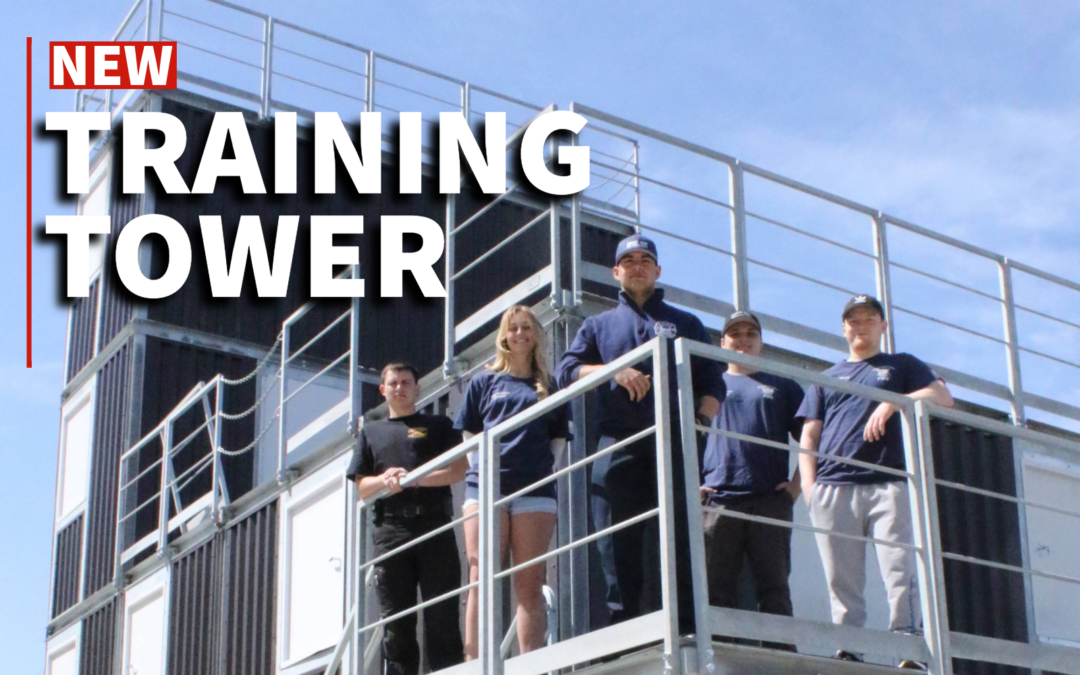 Collaborative Training