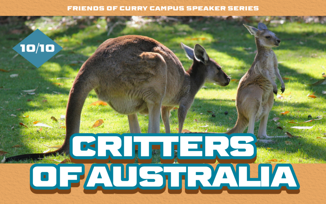 Friends of Curry Campus Speaker Series Presents “Critters of Australia” – Oct. 10, 2024
