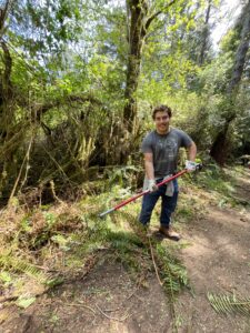 image of a young man raking brush