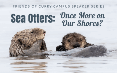 Friends of Curry Campus Speaker Series Presents “Sea Otters: Once More on Our Shores?” – June 12, 2025