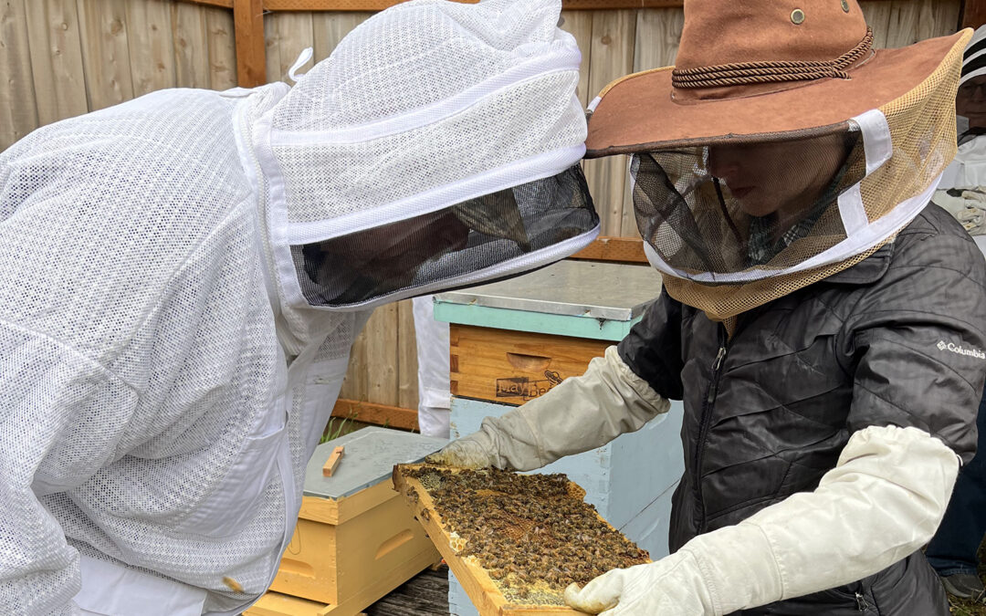 Two people in protective clothing looking at a bee hive.