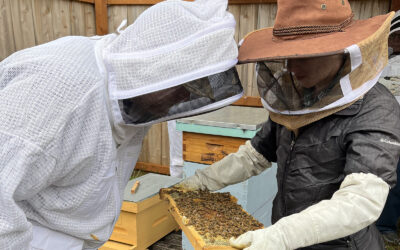 Agroecology Lecture – Pollinators at the Coast: Supporting Honeybees and Native Species – Feb. 19, 2026
