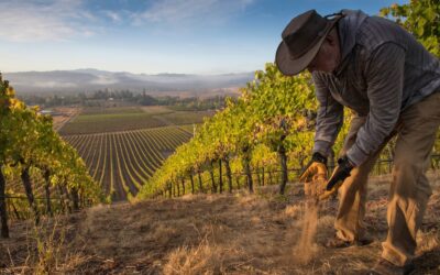 SWOCC Foundation and OCCI 2026 Winemaker’s Dinner with Abacela Winery – May 16, 2026