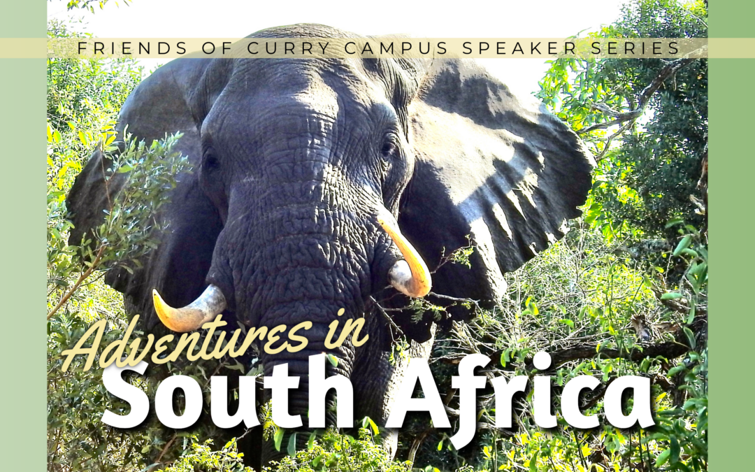 Image is the head of an elephant with words across image that say: Friends of Curry Campus Speaker Series, Adventures in South Africa