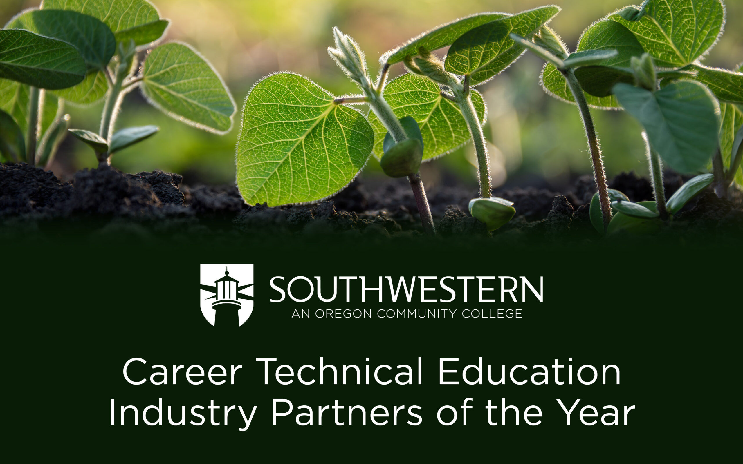 Image is a close up of green sprouts in a garden. Text reads Career Technical Education Industry Partners of the Year