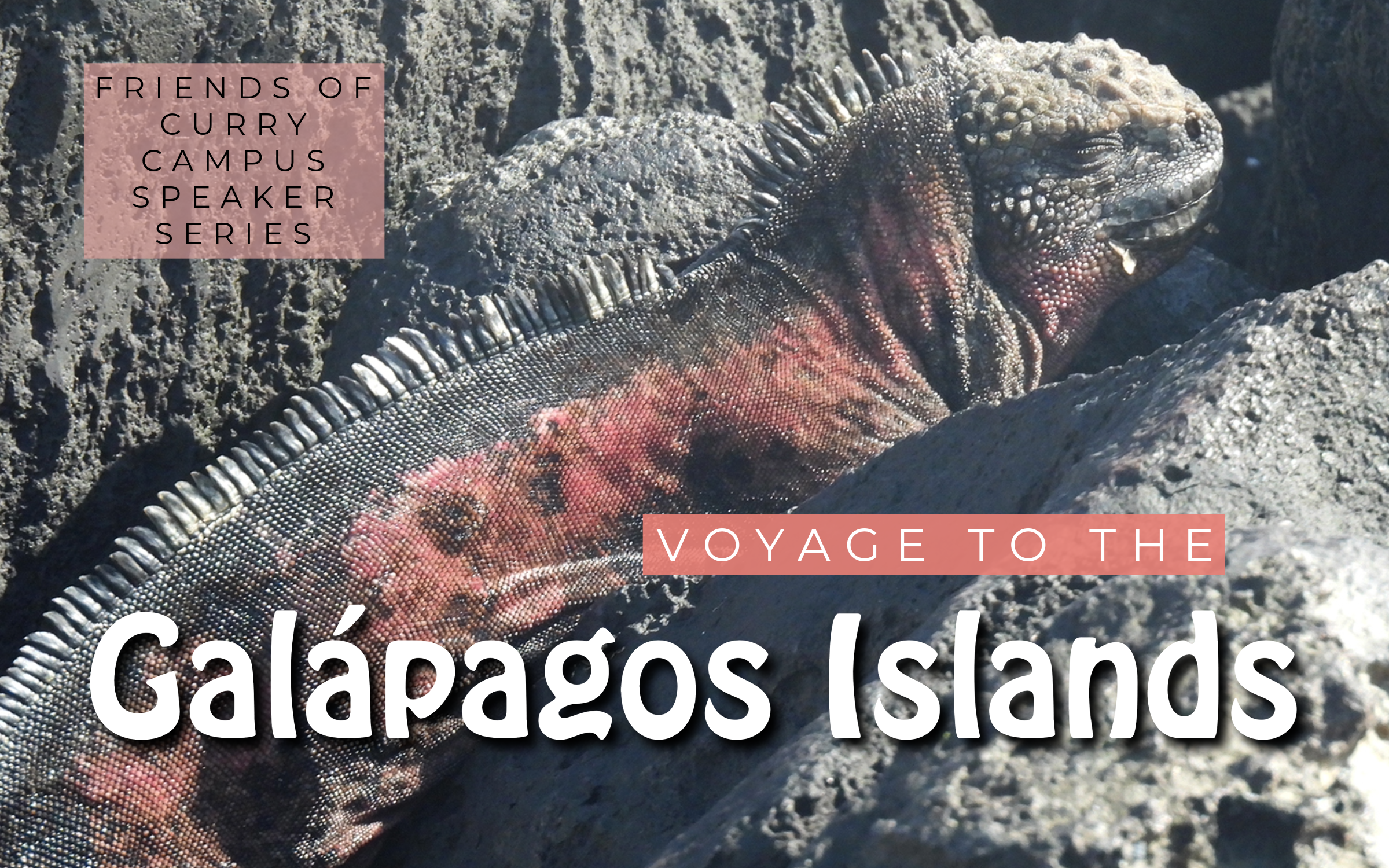 Image of an iguana with the words: Friends of Curry Campus Speaker Series, Voyage to the Galapagos Islands over image.