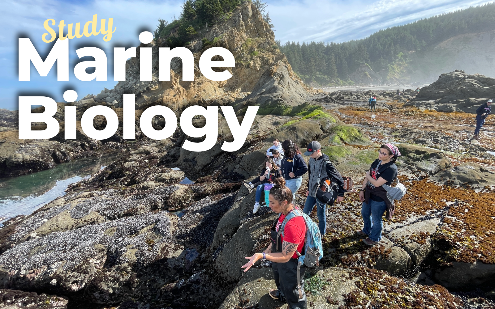 Southwestern Launches New Pathway to a Marine Biology Degree