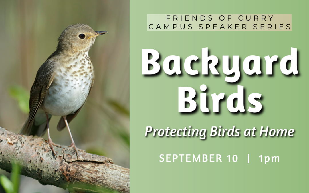 Image of a small brown and green bird, words next to image say Friends of Curry Campus Speaker Series, Backyard Birds, Protecting Birds at Home, September 10