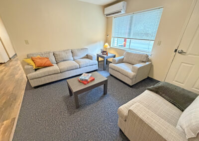 image is of the apartment living room showing the couch, chairs and two coffee tables