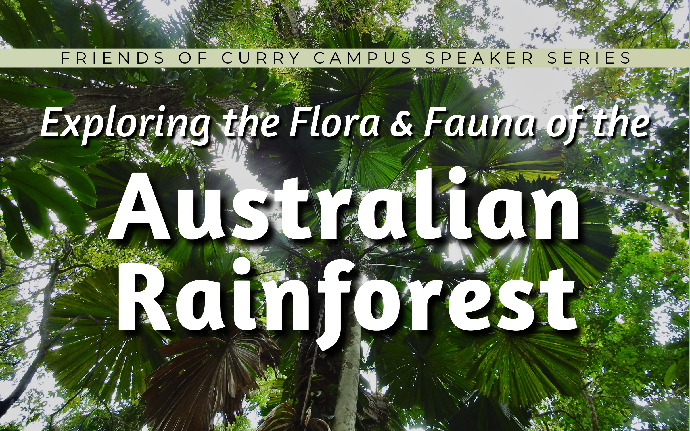 Image is of rainforest trees looking up through the canopy. Text reads: Friends of Curry Campus Speaker Series Presents: Exploring the Flora and Fauna of the Australian Rainforest